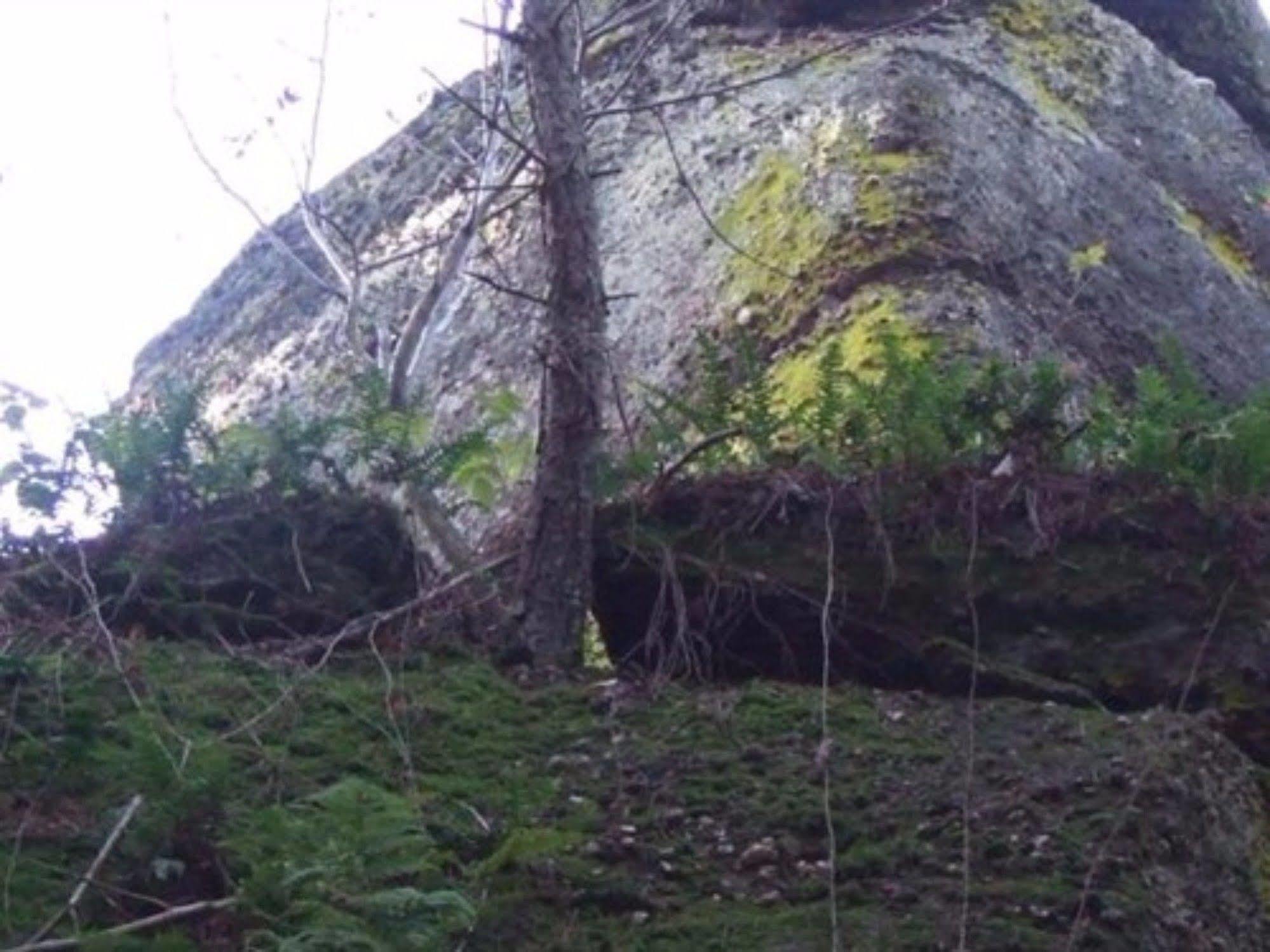 Auberge d'Hôtes l'Instant Hohwald Exterior foto